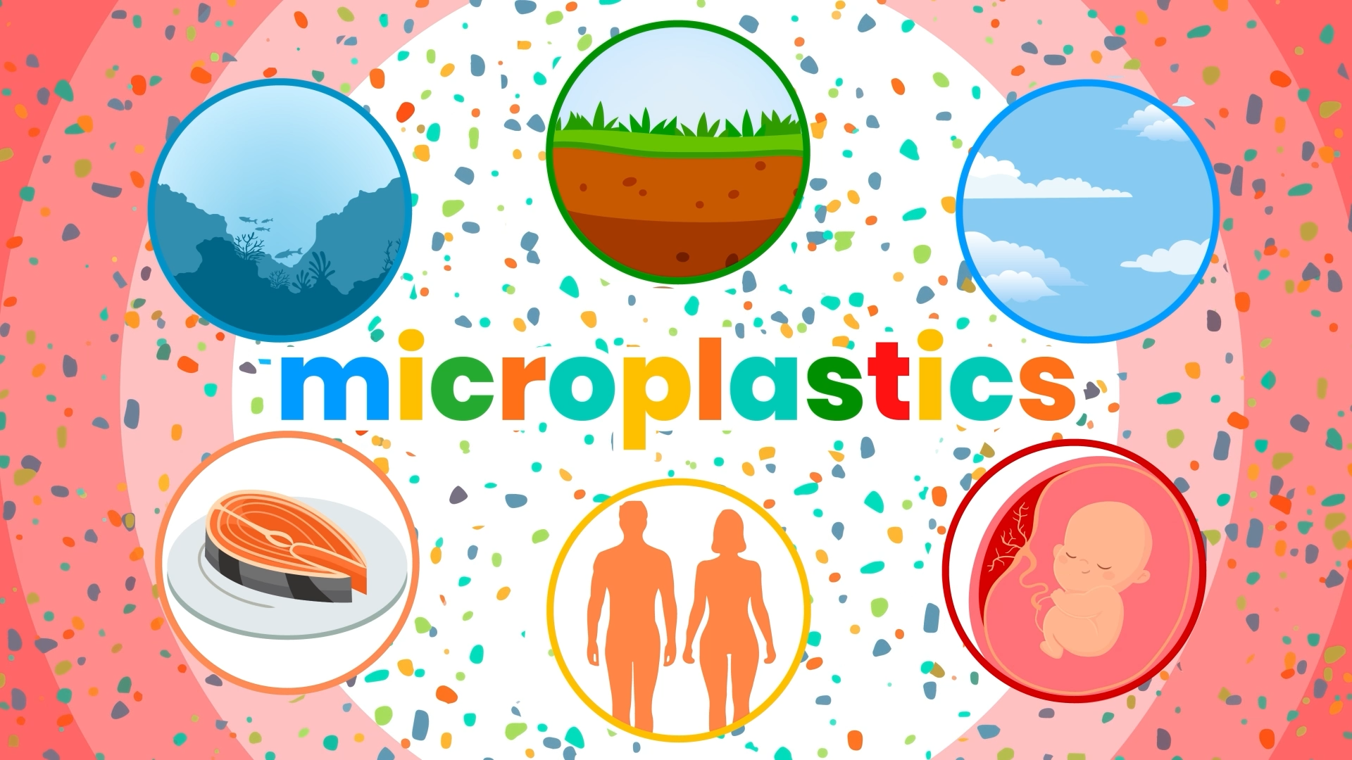 IGEM Projet de recherche 2022