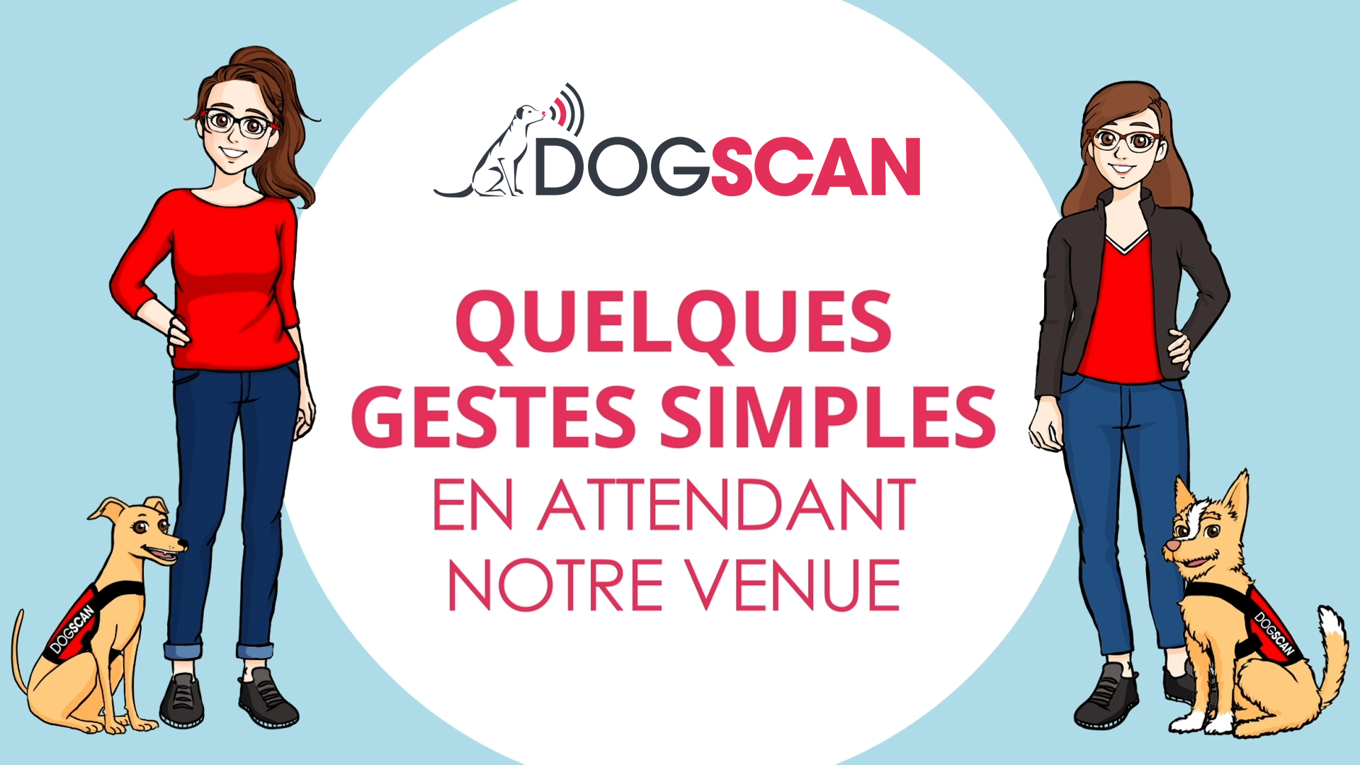 DOGSCAN Conseils